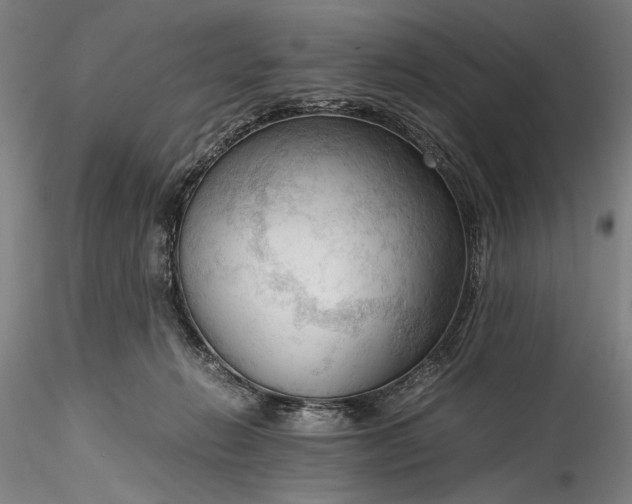 X0000115800270200911271257