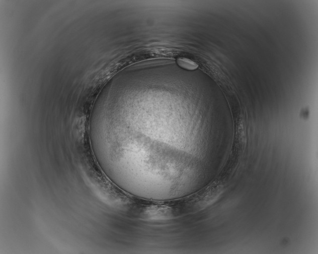 X0000115800271200911271257