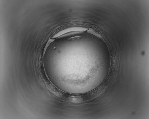 X0000115800275200911271257