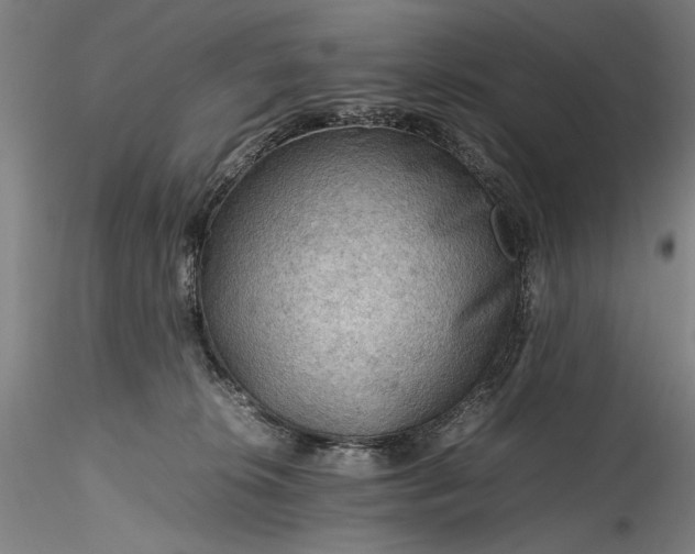 X0000115800276200911271257