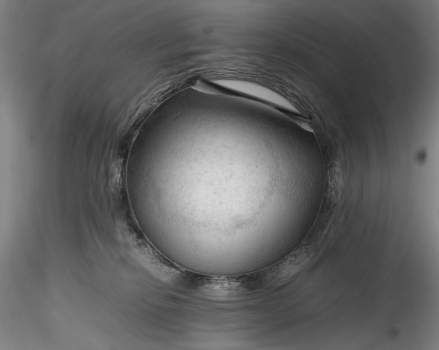 X0000115800278200911271258