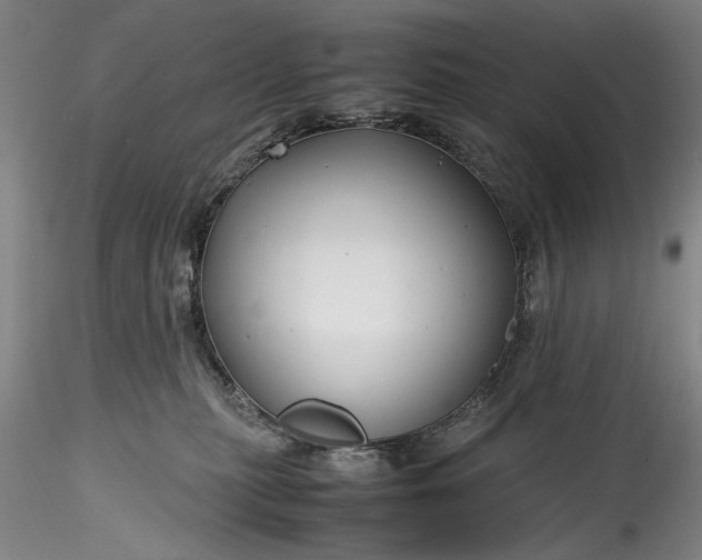 X0000115800279200911271258