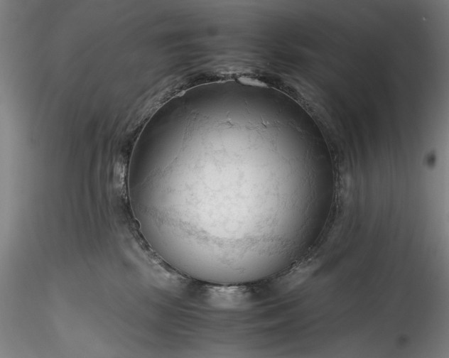 X0000115800281200911271258