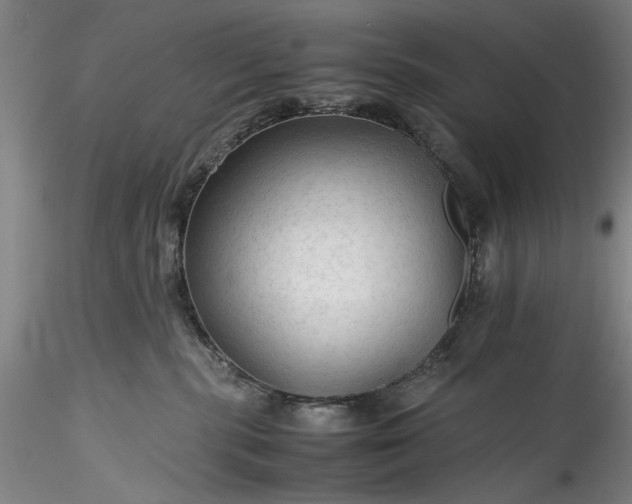 X0000115800283200911271258