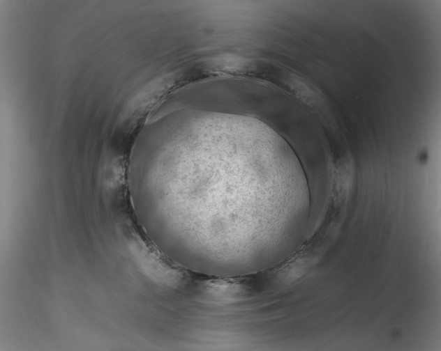 X0000115800284200911271258