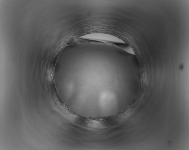 X0000115800285200911271258