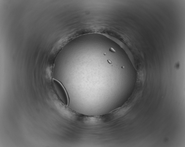 X0000115800286200911271258