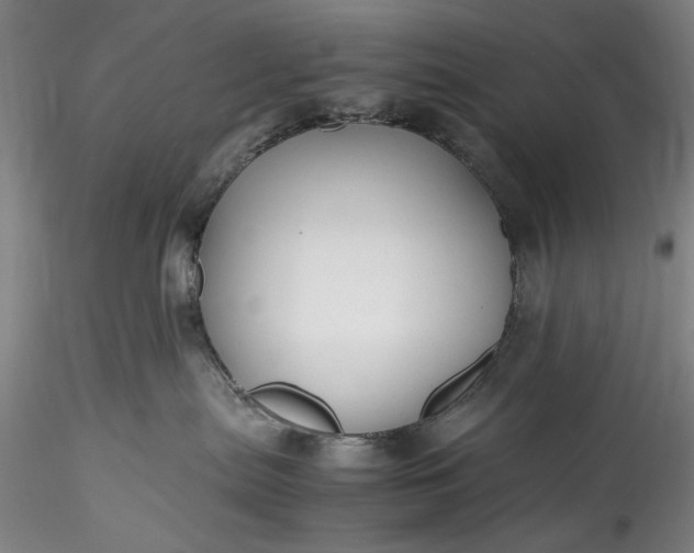 X0000115800287200911271258