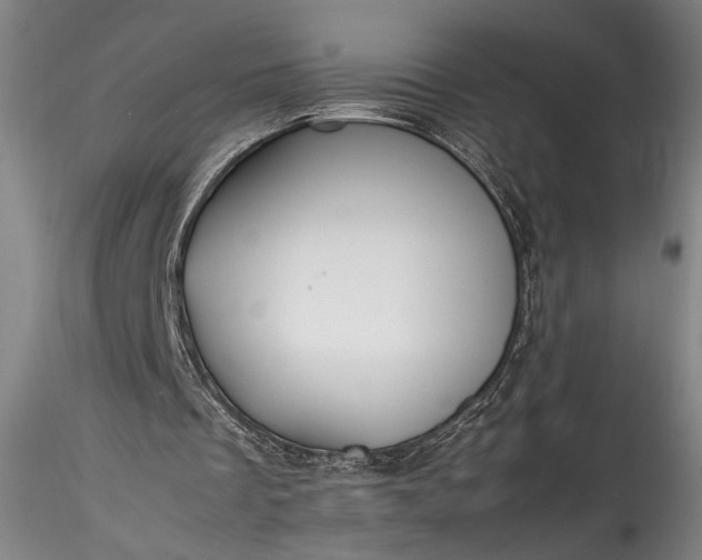 X0000115800289200911271257