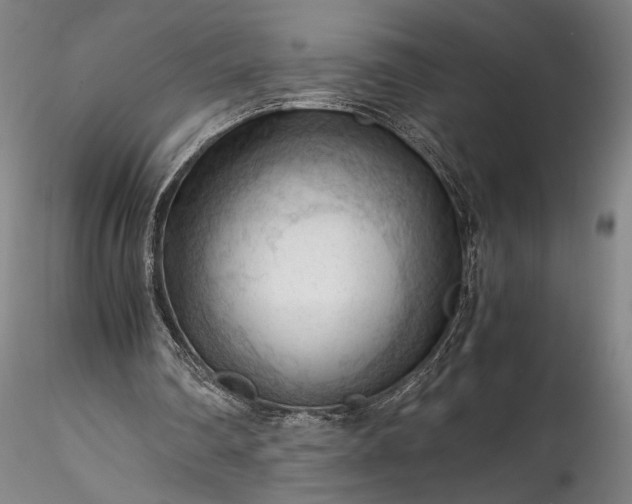 X0000115800290200911271257