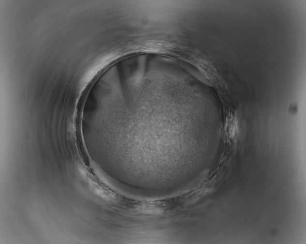 X0000115800292200911271257