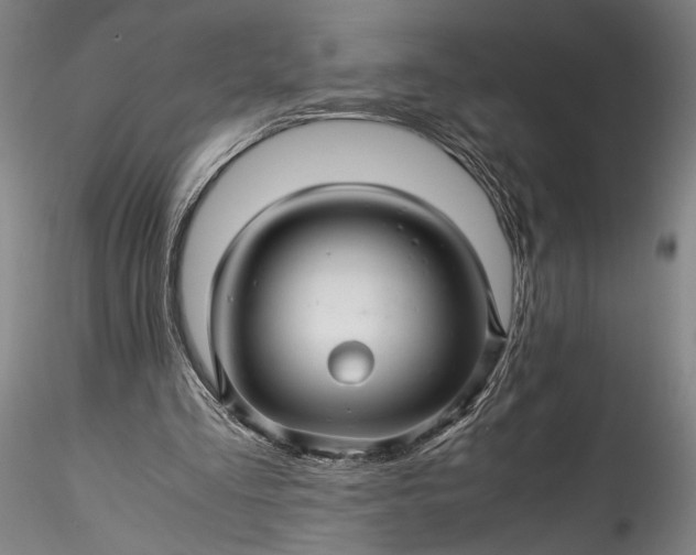 X0000115800293200911271257