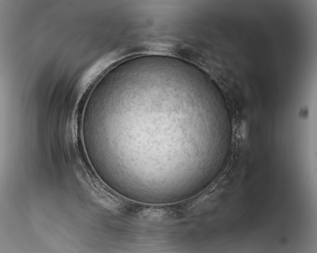 X0000115800294200911271257