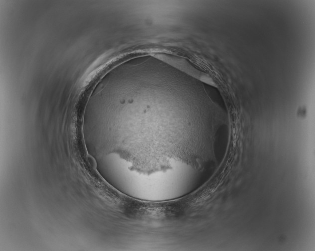 X0000115800295200911271257