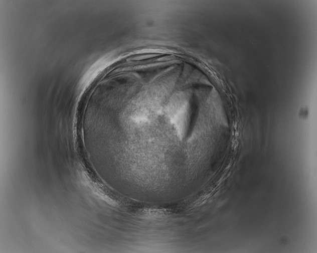 X0000115800296200911271257