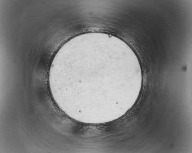 X0000115800297200911271257