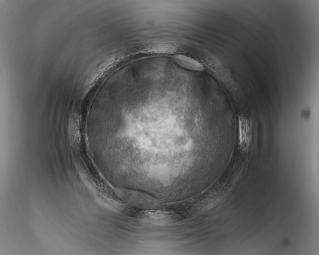 X0000115800300200911271257