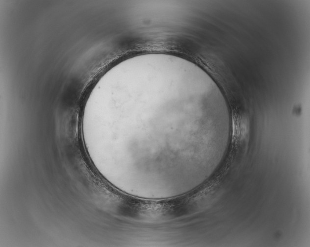 X0000115800301200911271257