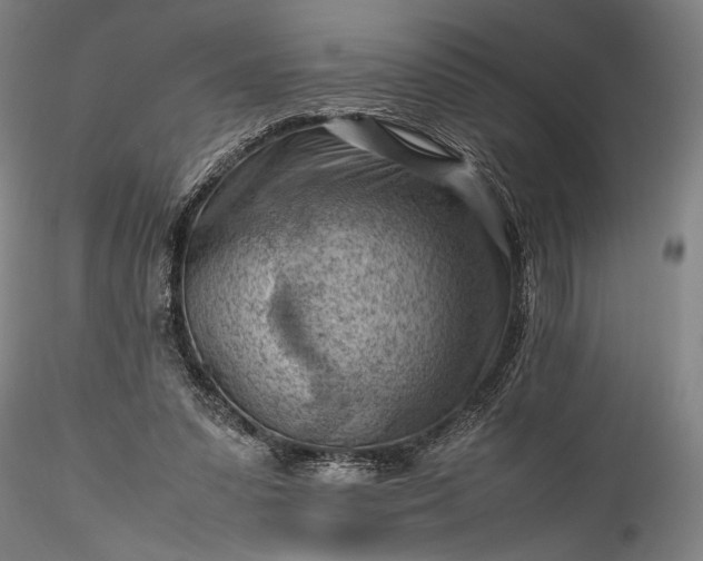 X0000115800303200911271257