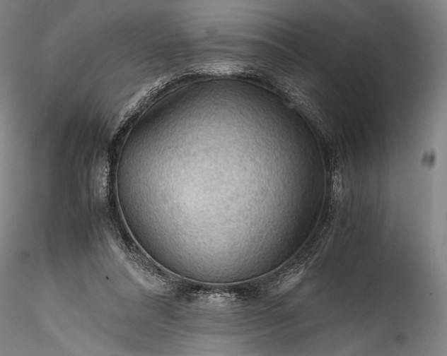 X0000115800304200911271257