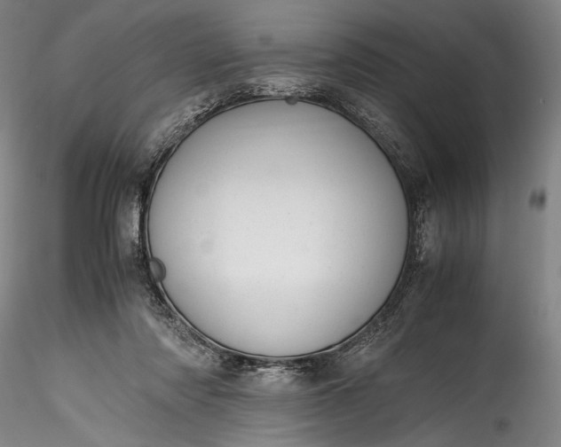 X0000115800310200911271257