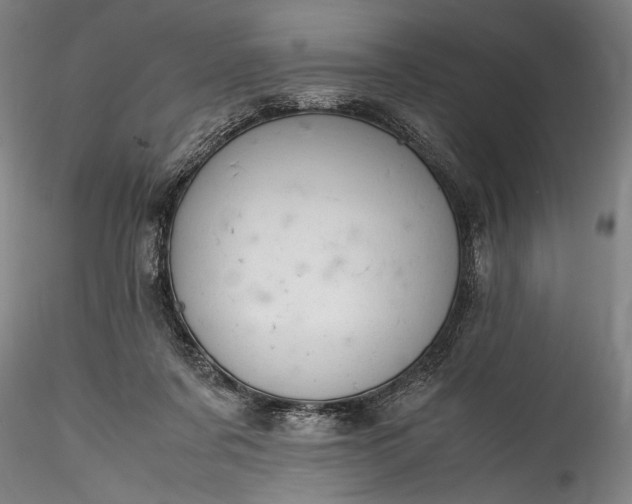 X0000115800311200911271257