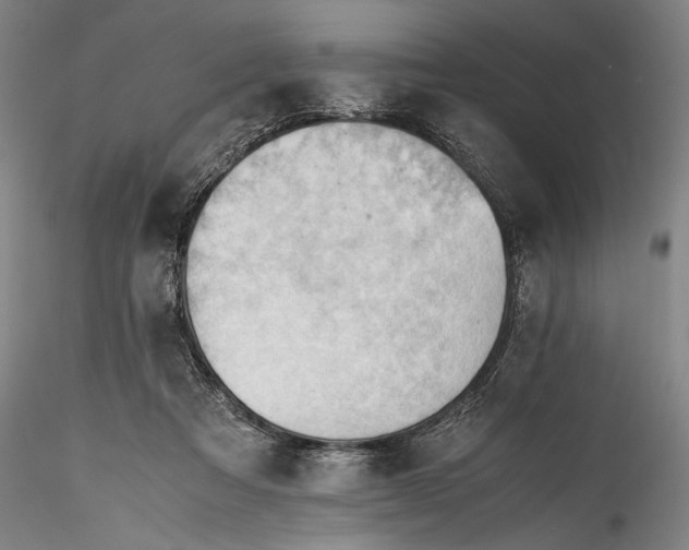 X0000115800313200911271257