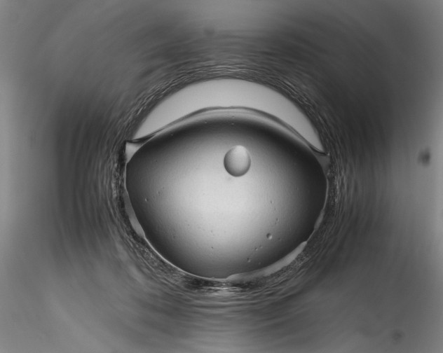 X0000115800316200911271257