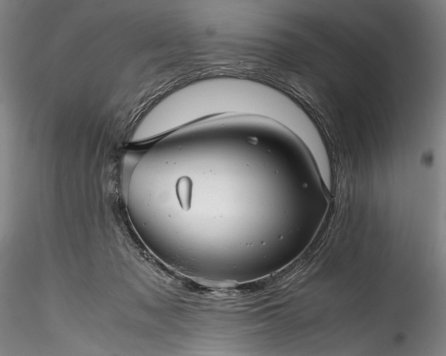 X0000115800317200911271257