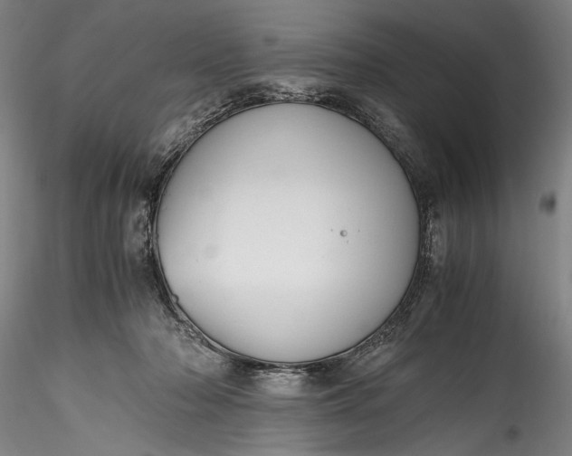 X0000115800318200911271257