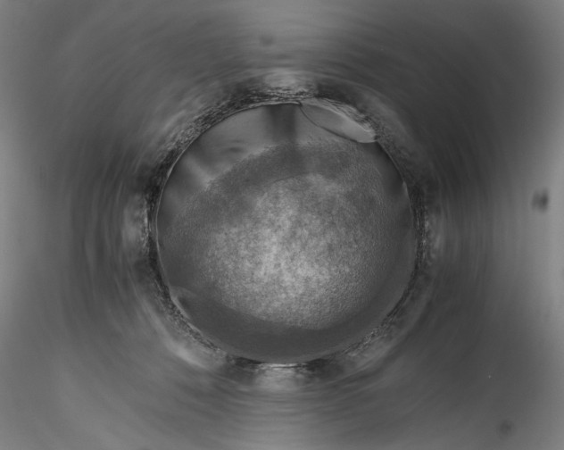 X0000115800320200911271257