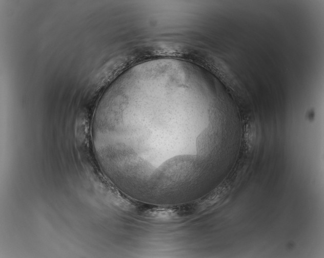 X0000115800322200911271257