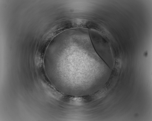 X0000115800324200911271257