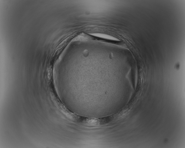 X0000115800325200911271257