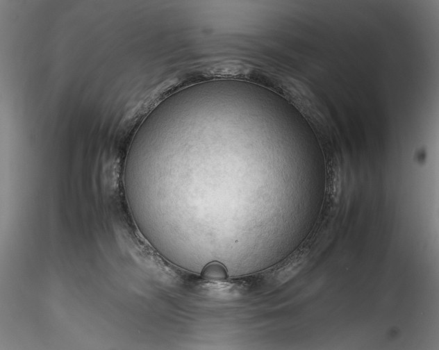 X0000115800326200911271256