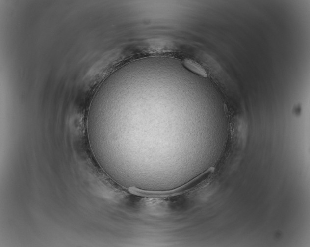 X0000115800327200911271256