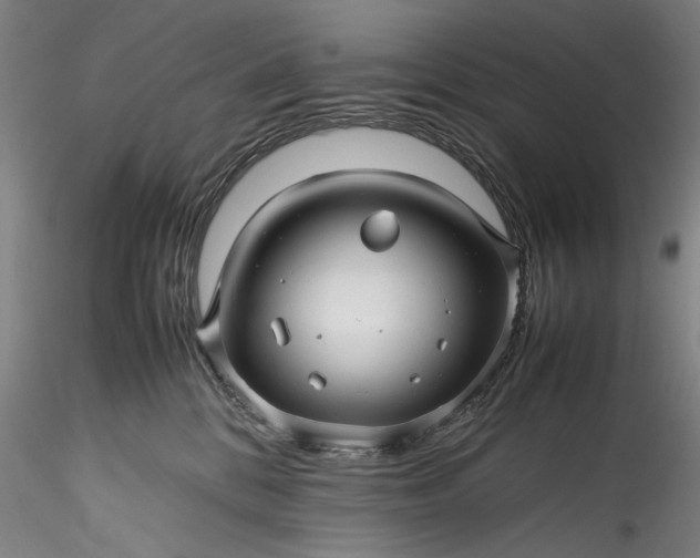 X0000115800328200911271256