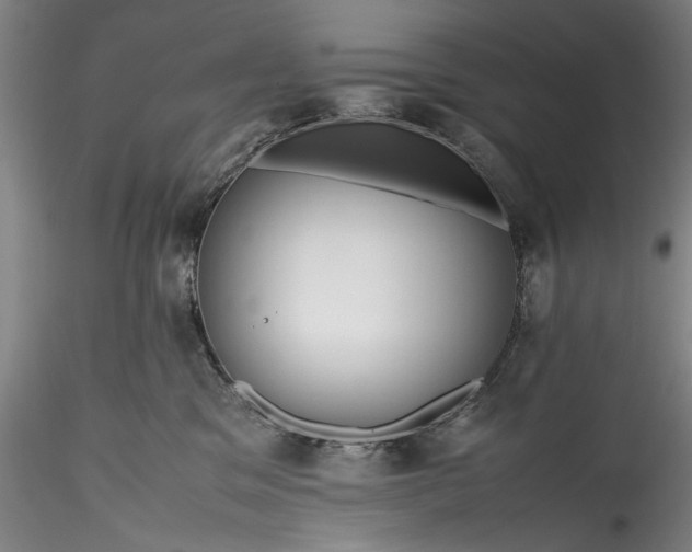 X0000115800329200911271256