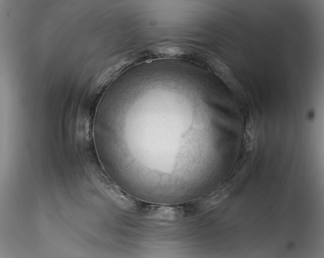 X0000115800330200911271256