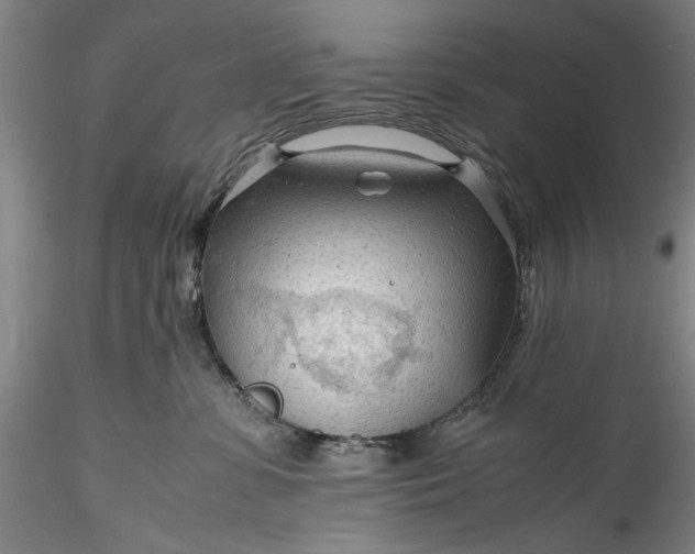 X0000115800331200911271256