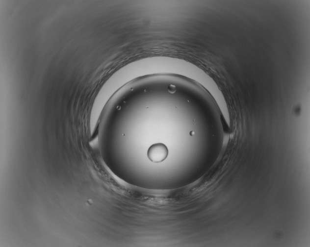 X0000115800332200911271256