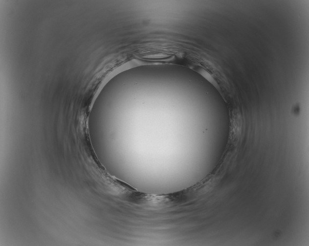 X0000115800333200911271256