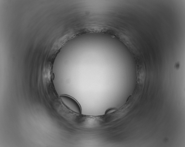 X0000115800334200911271256