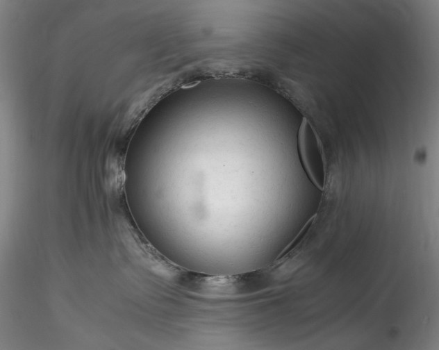 X0000115800335200911271256