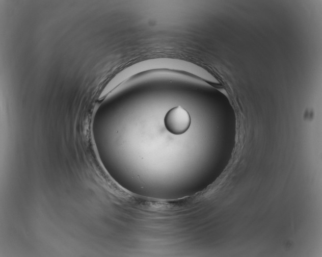 X0000115800336200911271256