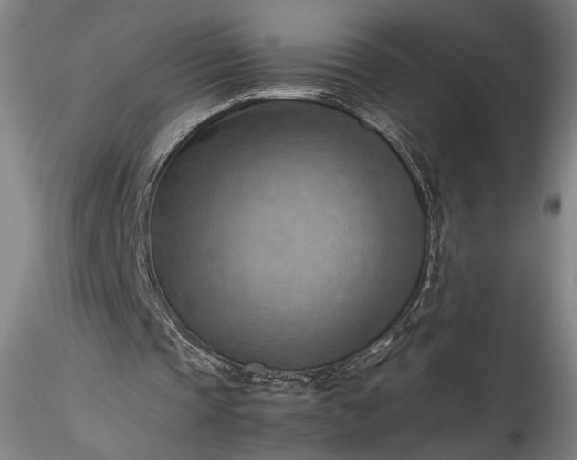 X0000115800337200911271256