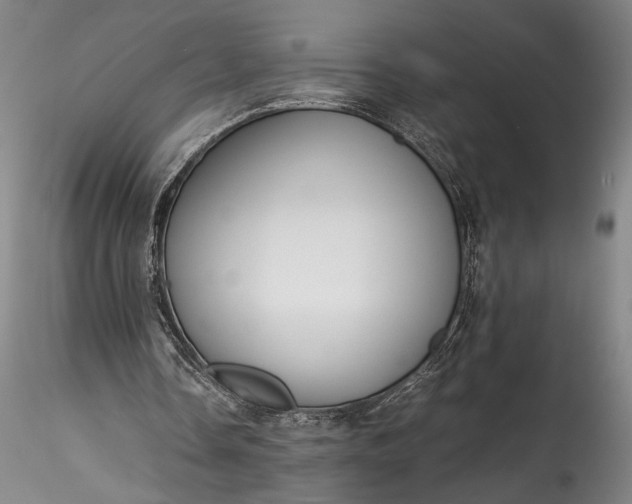 X0000115800338200911271256