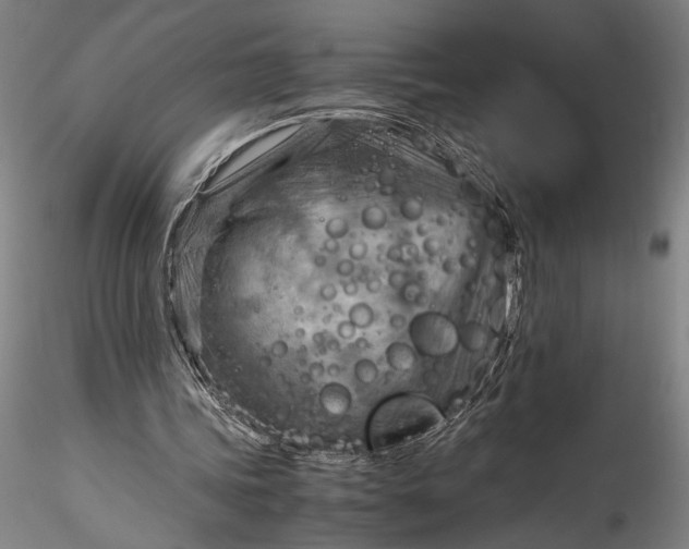 X0000115800339200911271256