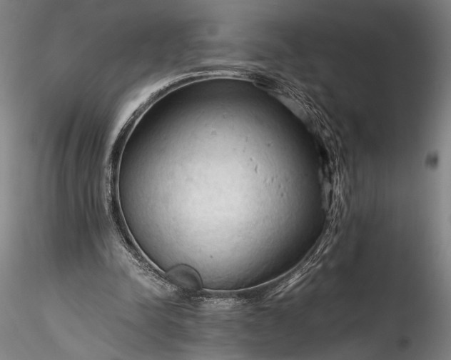 X0000115800342200911271256