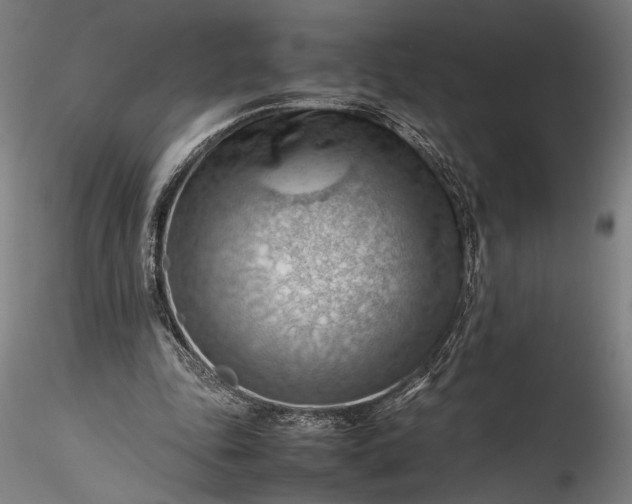 X0000115800343200911271256